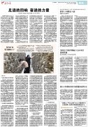 我省11项做法入选