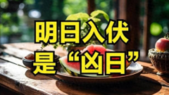 7月15号入伏记得：1要晒2不去3要忌老保守别丢